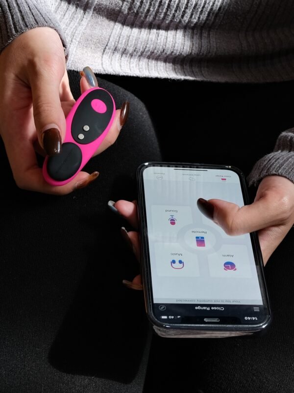 Lovense Ferri App Controlled Rechargeable Panty Vibrator