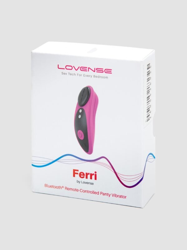 Lovense Ferri App Controlled Rechargeable Panty Vibrator