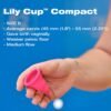 Intimina Lily Menstrual Cup Compact B