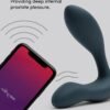 75288_2 We-Vibe Vector App and Remote Controlled Rechargeable Prostate Massager