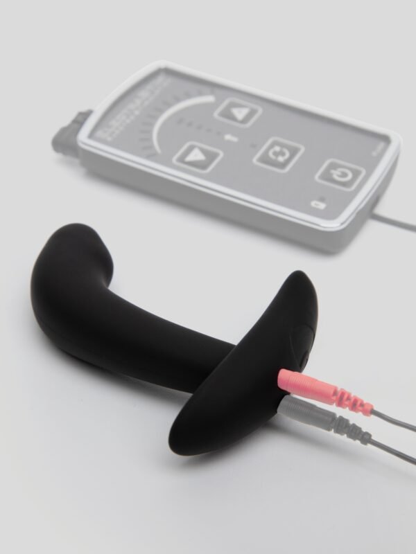 Lovehoney X ElectraStim Booty Buddy Electro-Sex Butt Plug