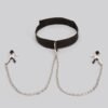 BASICS Collar with Nipple Clamps