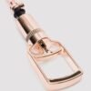 Pumped Clitoral and Nipple Pump Set