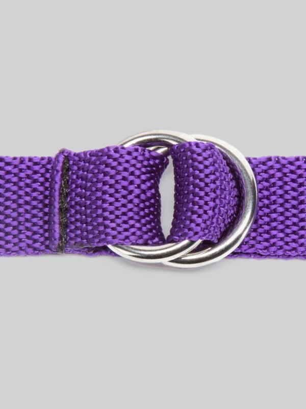 Purple Reins Under Mattress Spreader Restraint