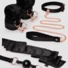 Lovehoney Sweet Restraint Recycled Couple's Bondage Kit (5 Piece)