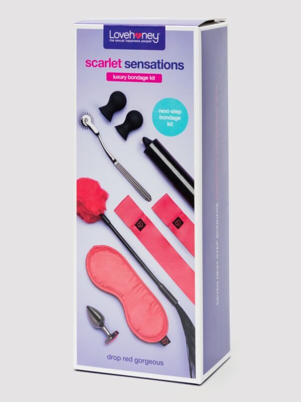 Lovehoney Sensation Play Bondage Kit