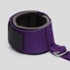 Purple Reins Over-the-Door Restraint