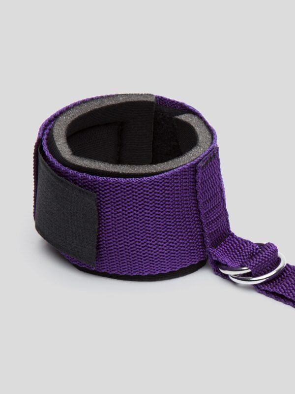 Purple Reins Over-the-Door Restraint