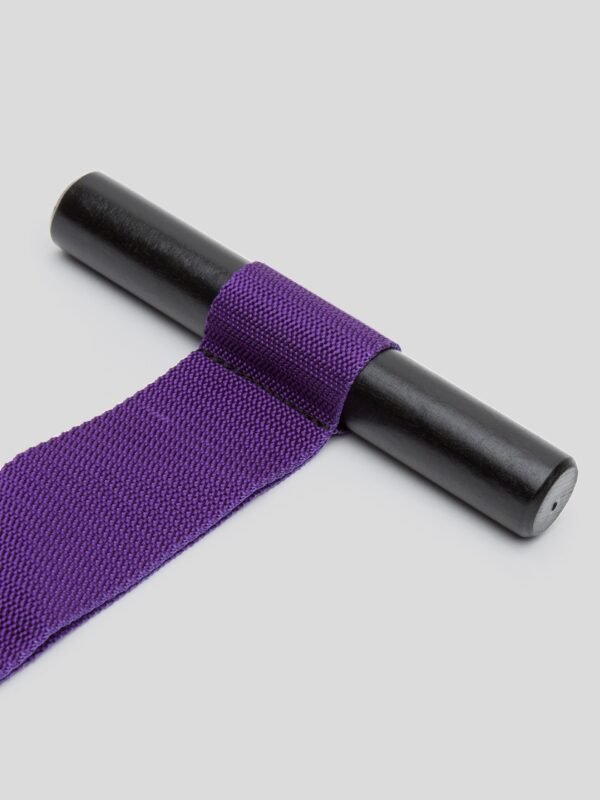 Purple Reins Over-the-Door Restraint