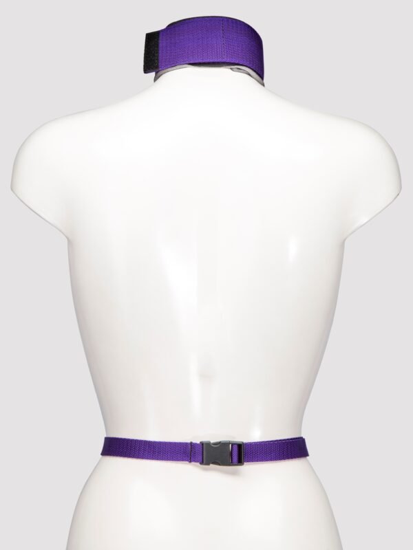 Purple Reins Beginners Restraint Harness