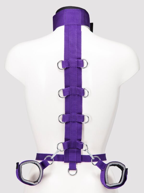 Purple Reins Beginners Restraint Harness
