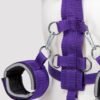 Purple Reins Beginners Restraint Harness