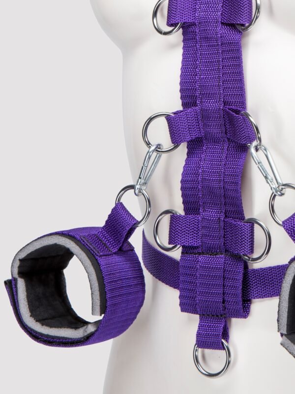 Purple Reins Beginners Restraint Harness