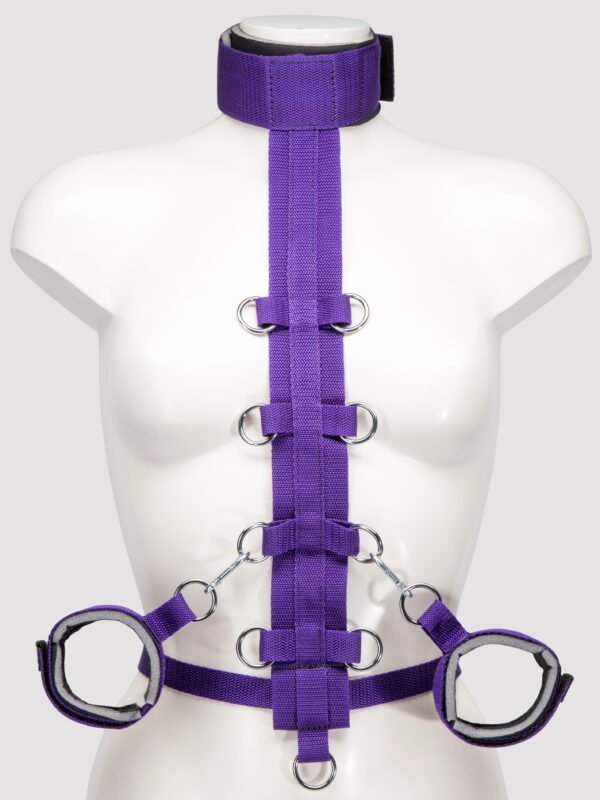 Purple Reins Beginners Restraint Harness