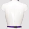 Purple Reins Beginners Restraint Harness