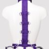 Purple Reins Beginners Restraint Harness