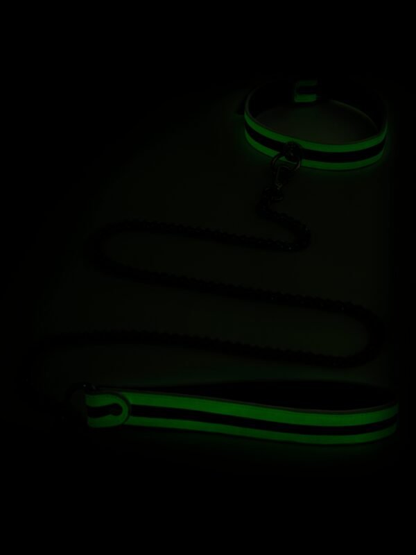 Bondage Boutique Glow-in-the-Dark Collar and Lead