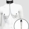 DOMINIX Deluxe Leather Collar with Nipple Clamps