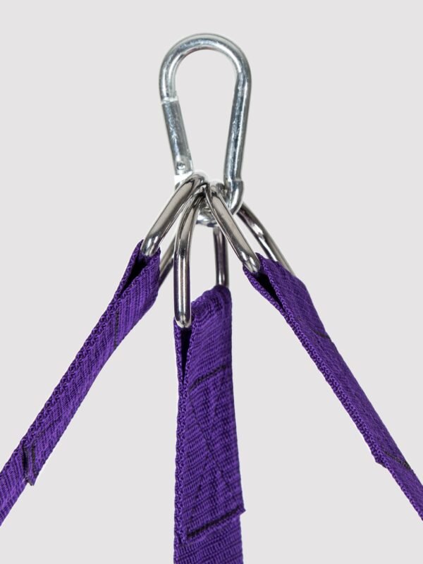 Purple Reins Sex Sling