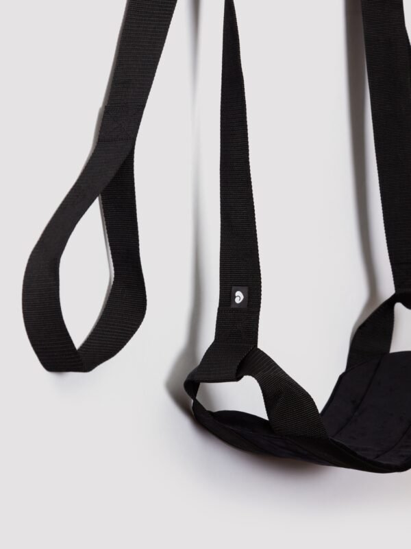 a48905g86860_2 Bondage Boutique Premium Over the Door Swing