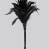 Fetish Fantasy Frisky Black Feather Tickler