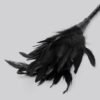 Fetish Fantasy Frisky Black Feather Tickler