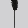 Bondage Boutique Luxury Ostrich Feather Tickler