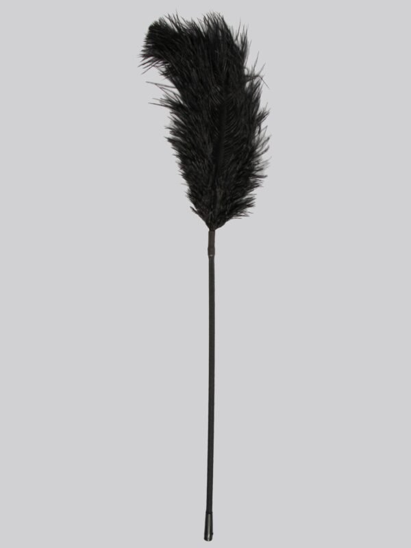 Bondage Boutique Luxury Ostrich Feather Tickler