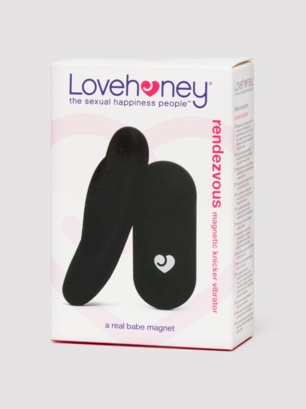 Lovehoney Rendezvous Magnetic Remote Control Panty Vibrator
