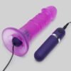 Lovehoney Rock My World Sex Toy Kit (6 Piece)