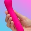 Lovehoney Pleasure Link Remote Control Couple's Kit