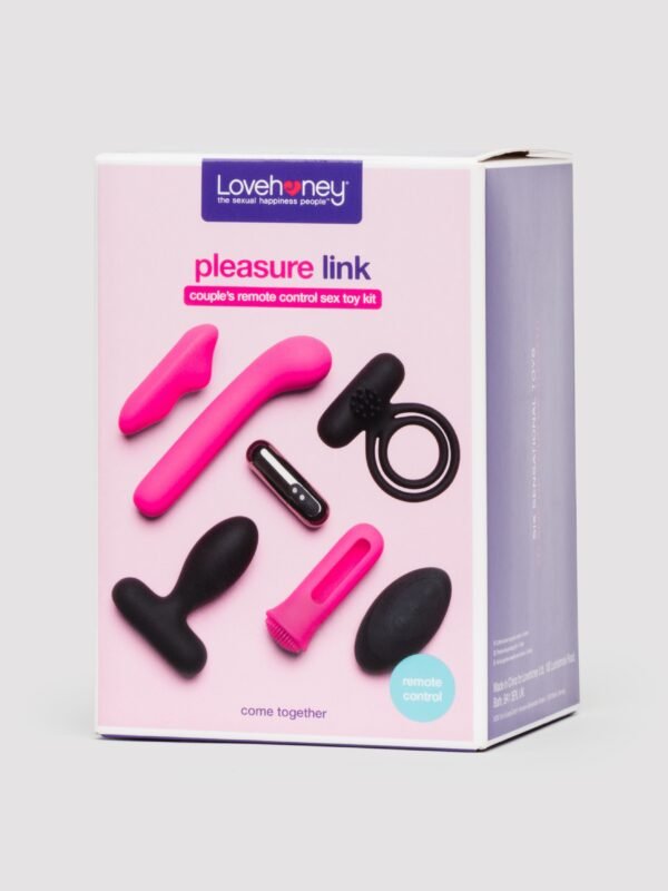 Lovehoney Pleasure Link Remote Control Couple's Kit