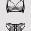 Lovehoney Black Quarter Cup Bra and Crotchless Panties Set