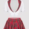 Lovehoney Fantasy Red Plaid Skirt Set