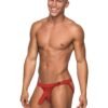Male Power Sheer Mini Hose Jock Strap