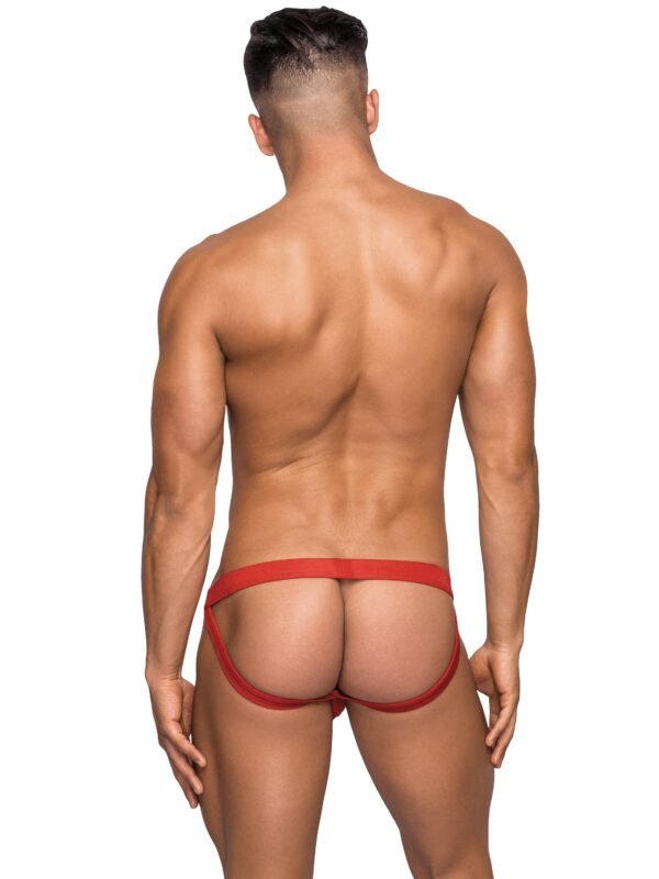 Male Power Sheer Mini Hose Jock Strap