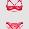 Lovehoney Red Quarter Cup Bra and Crotchless Panties Set