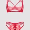 Lovehoney Red Quarter Cup Bra and Crotchless Panties Set