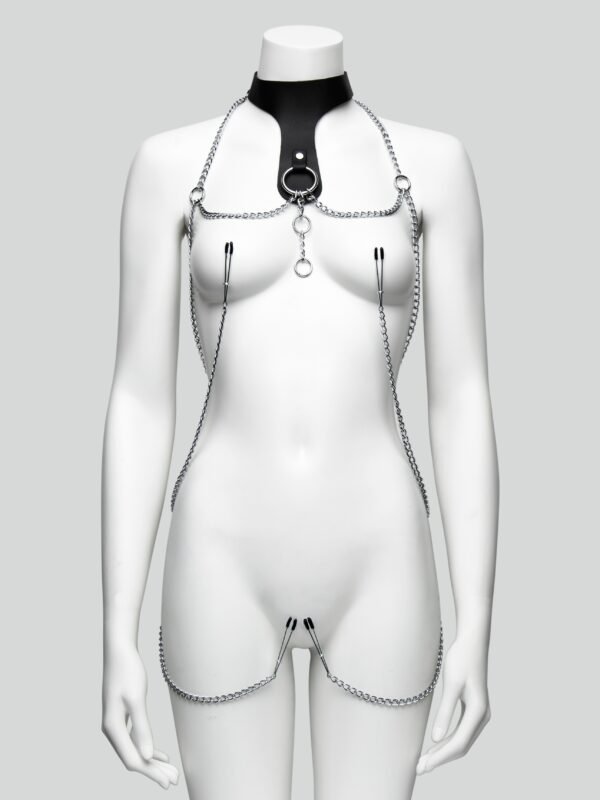 DOMINIX Deluxe Leather Collar with Clamps