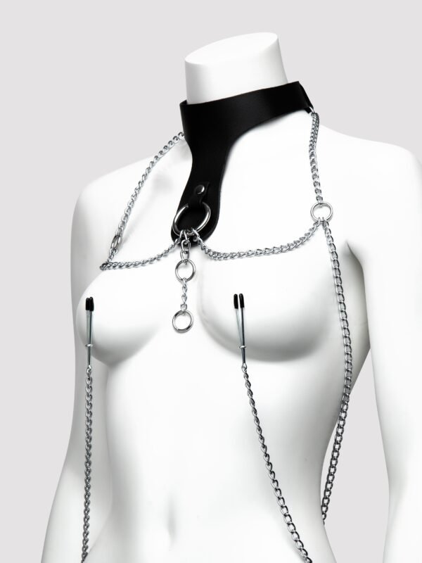 DOMINIX Deluxe Leather Collar with Clamps