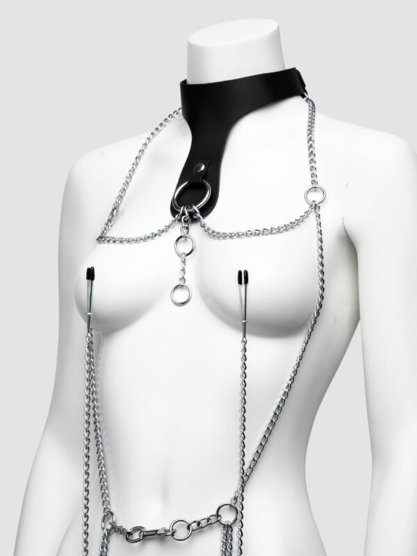DOMINIX Deluxe Leather Collar with Clamps