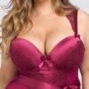 Lovehoney Plus Size Moonlight Wine Plunge Basque Set