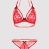 a36263g70292_4 Lovehoney Red Underwired Lace Triangle Bra & Crotchless G-String Set