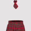 Lovehoney Fantasy Plus Size Plaid Skirt and Tie Set