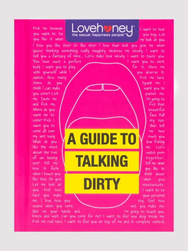 76869_1 Lovehoney A Guide to Talking Dirty