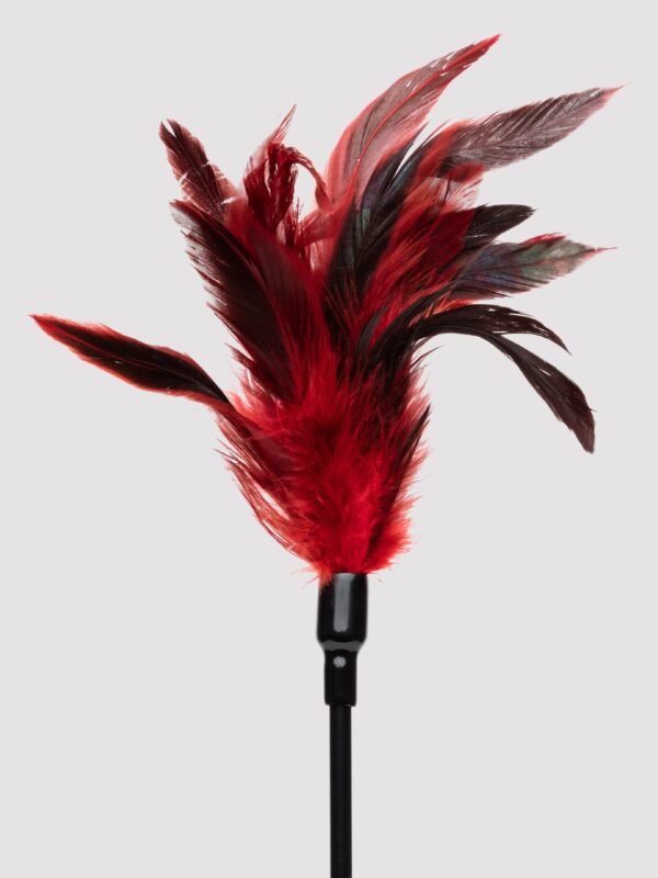 85824_2 Sex & Mischief 2-in-1 Feather Tickler Riding Crop