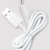 Lelo USB Charger