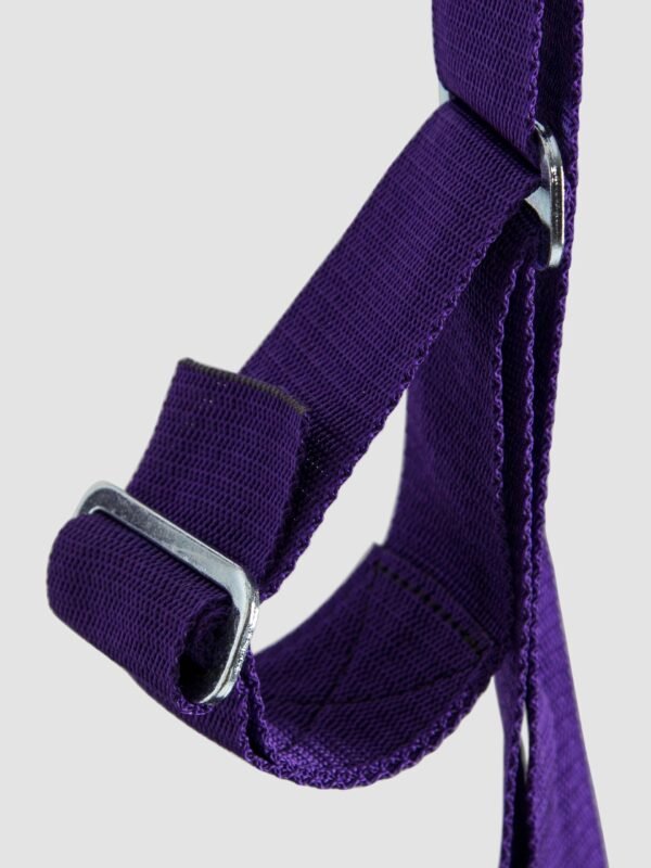 Purple Reins Sex Sling