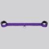 Purple Reins 20 Inch Spreader Bar
