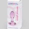 Lovehoney Small Heart Glass Butt Plug 3 Inch